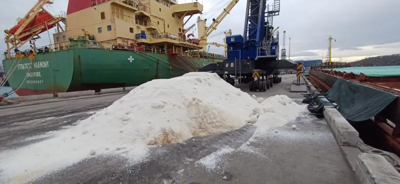 M/V Alfa Star — 3,050 mts raw salt — Aliaga, Turkey → Izmail, Ukraine — November 2023
