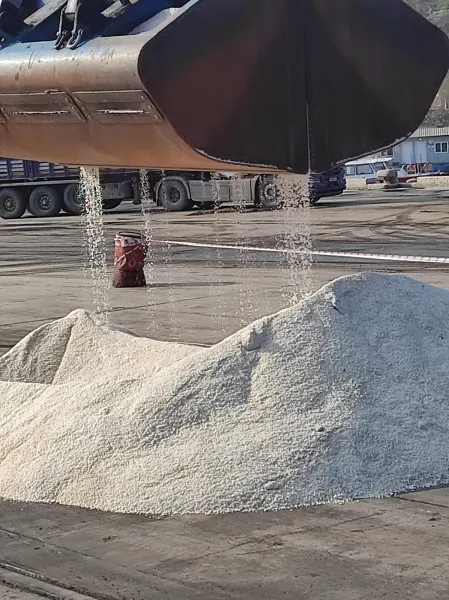 M/V Sormovskiy-123 — 3,200 mts raw salt — Aliaga, Turkey → Izmail, Ukraine — December 2023