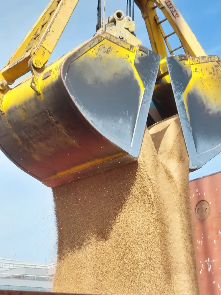 Grain pouring from a grab bucket during dry bulk handling
