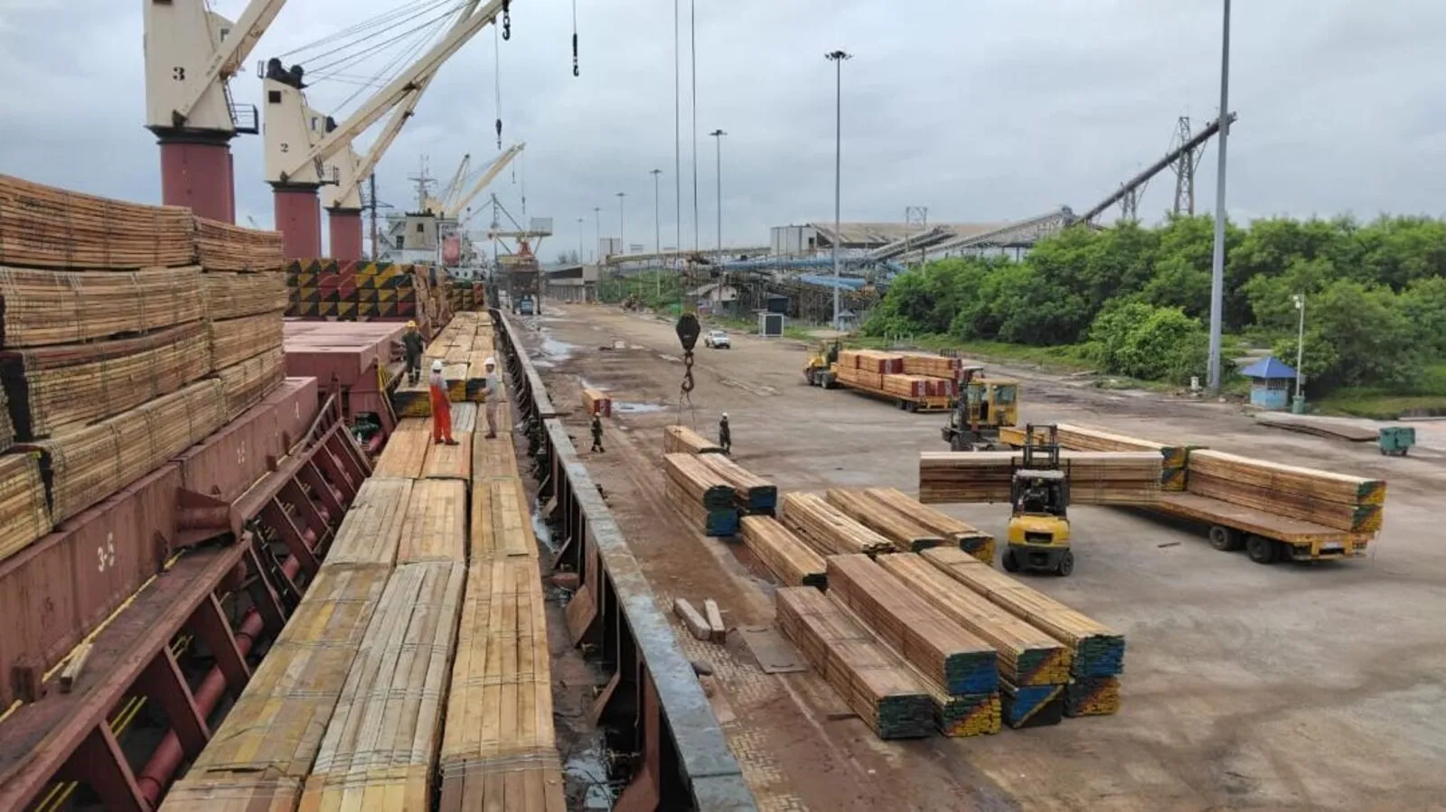 Freight Indication vs Firm Freight Offer: What Charterers Should Know