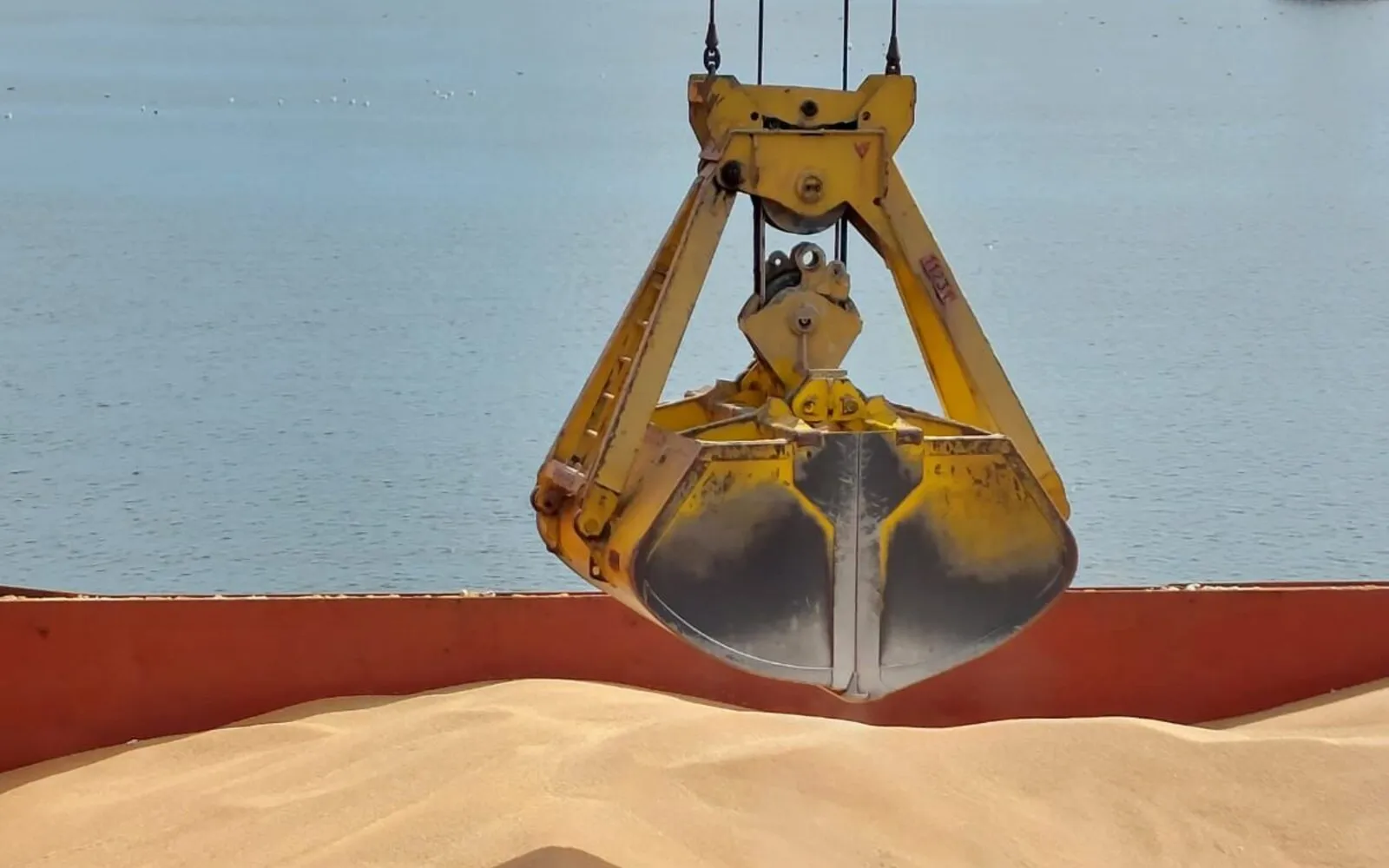 Grain Cargo Chartering: Vessel Selection and Port Restrictions