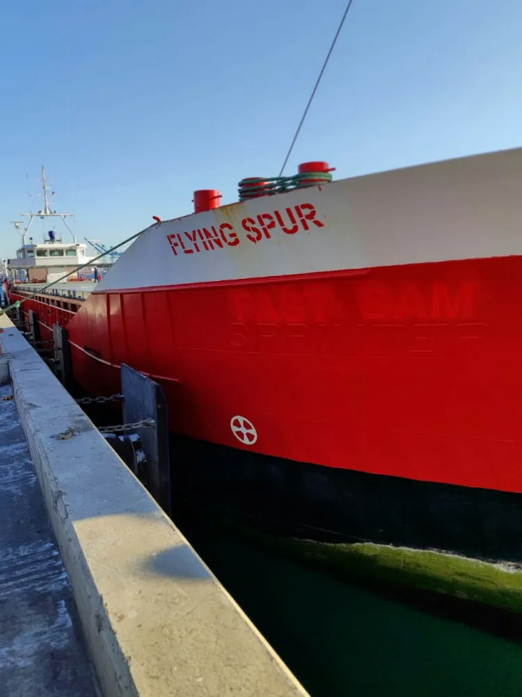 M/V Flying Spur — 3,000 mts salt — Aliaga, Turkey → Izmail, Ukraine — October 2023