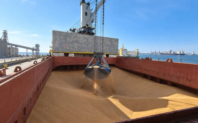 Maritime exports of agricultural products — Kiev Shipping Ltd publication in UkrAgroConsult