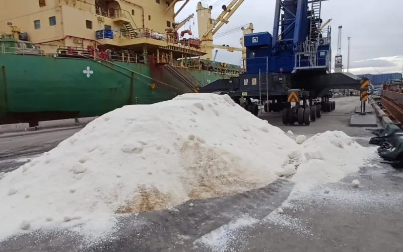 Bulk salt on the quay beside a bulk carrier and a mobile harbour crane — AJOT article by Konstantin Kalnyi