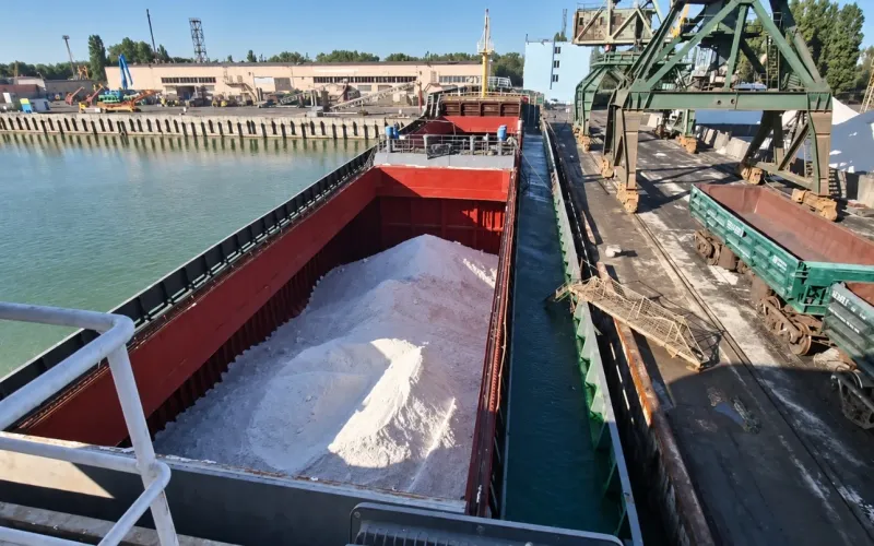 Bulk vessel loading cargo during a chartered voyage — Kiev Shipping Ltd