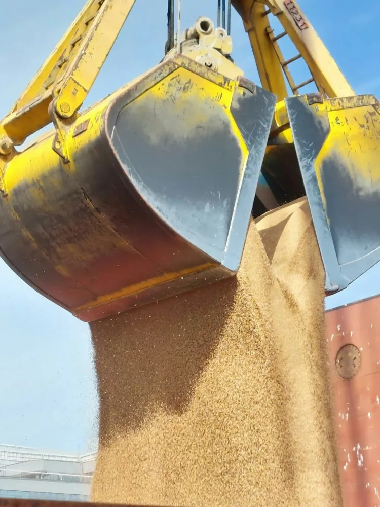 Breakbulk and Dry Bulk Cargo Chartering