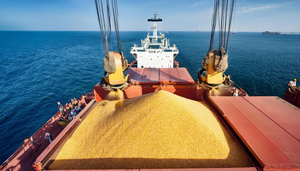 Bulk and Breakbulk Shipping Since 2000