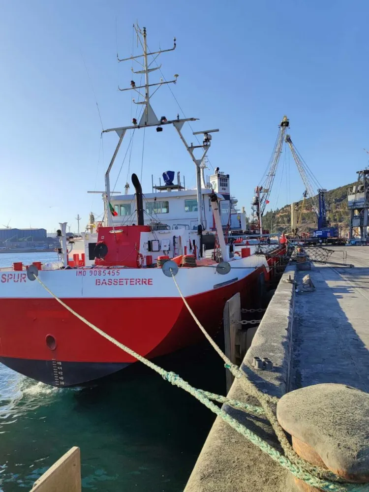 Bulk and Breakbulk Cargo Shipping Support