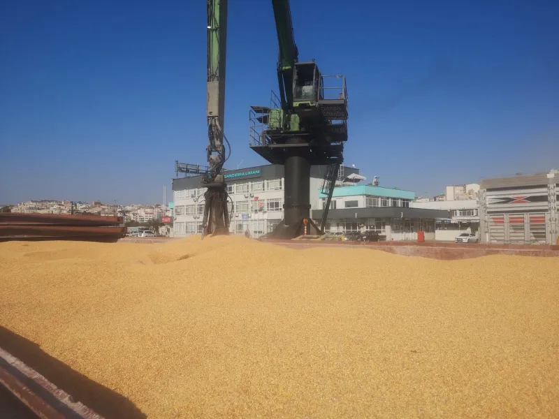 M/V Bahar — 3,000 mts corn