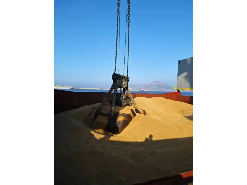 M/V Ag Valor — 27,500 mts wheat — Constanta, Romania → Tarragona, Spain — September 2023