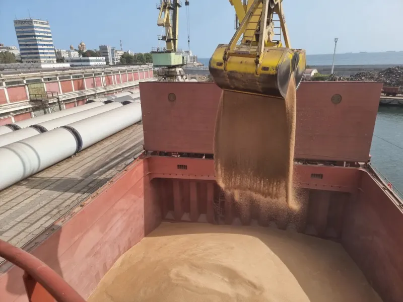 M/V Ag Valor — 27,500 mts wheat — Constanta, Romania → Tarragona, Spain — September 2023
