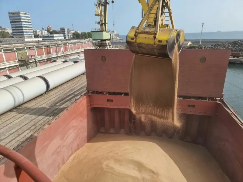 M/V Transarctic — 25,000 mts wheat — Constanta, Romania → Valencia, Spain — October 2023