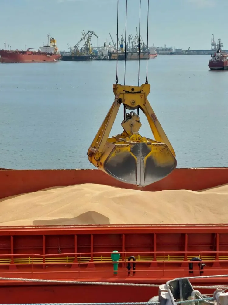 Grain and bulk cargo chartering by sea